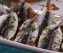 Acciughe al limone - Antipasti del Veneto Acciughe al limone - Antipasti del Veneto