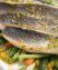 branzino