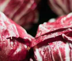 radicchio