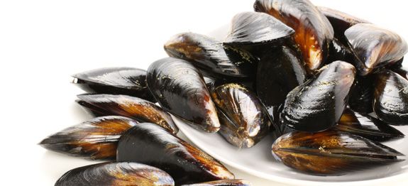 cozze cozze