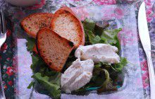 Pesce Balestra Cucinarepescecom