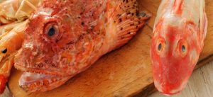 come cucinare pesce fresco