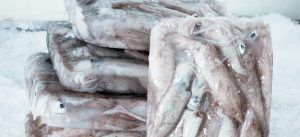 Come cucinare i calamari surgelati