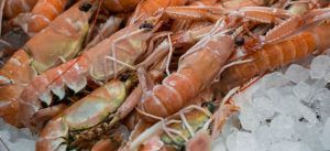 come cucinare gli scampi surgelati